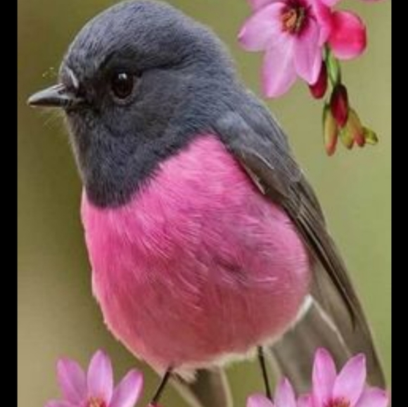 Follow Me, Like, Follow and Share. - Picture 2 of 12